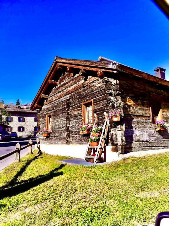Chalet Del Cuore Appartement